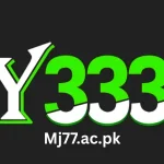 Y333 Game
