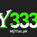 Y333 Game